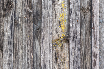 Abstract old wooden plank background texture. Wooden table, wall or floor