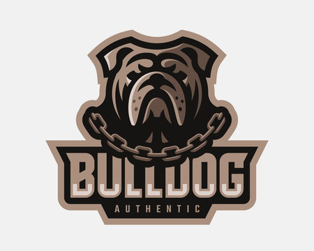 Bulldog modern logo. Dog design emblem template for a sport and eSport team.
