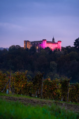 Fototapeta na wymiar Castle of Costigliole d'Asti (Piedmont - Italy). Night view with white castle bright