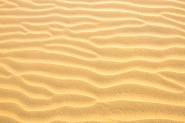 Texture of yellow desert sand dunes. Can be used as natural background - obrazy, fototapety, plakaty