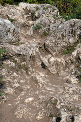 Na Jurajskim szlaku © amadeusz