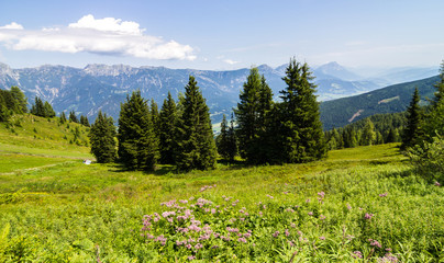 Fototapeta premium Dachstein 
