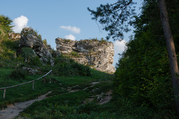 Na Jurajskim szlaku © amadeusz