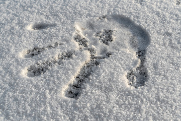 Obraz premium Handprint in the snow. Handprint on white with a blue hue of snow with a winter sunny day.