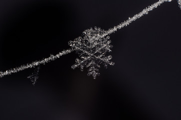 Fototapeta premium snow on black background