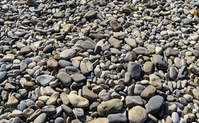 Sea pebbles as nature background. Beautiful sea stones of different sizes, texture and grey color. Excellent natural concept for any design. Calm landscape, fresh wallpaper, nature concept