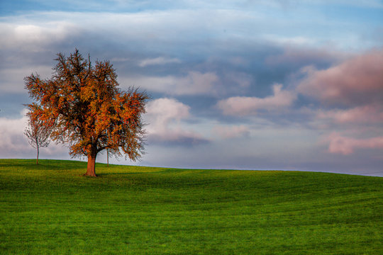Farben des Herbst