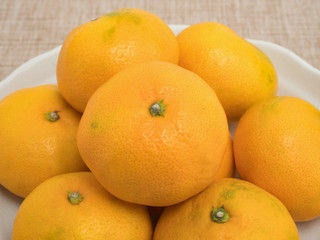 早生みかん