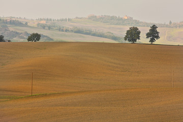 Fototapeta na wymiar landscape of hills tuscany in autumn in Italy