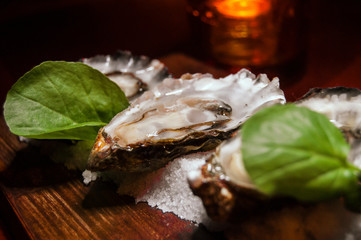 Fresh oysters brunch