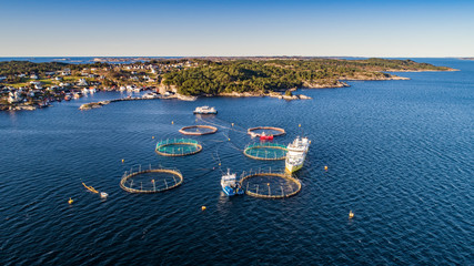 Salmon fish farm. Hordaland, Norway. 