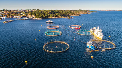 Salmon fish farm. Hordaland, Norway. 