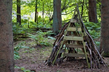wooden shelter in the forest