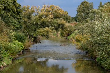 Jesień nad rzeką © amadeusz