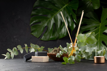 Spa and bath concept. Green tea scrub, coal black soap, coconut and vanilla soap, eucalyptus on black background with tropical leaves. Copy space.