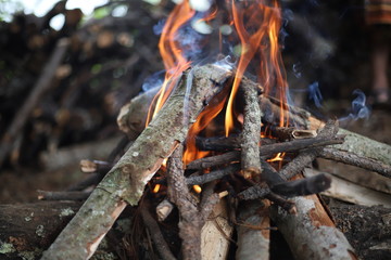 leña ardiendo