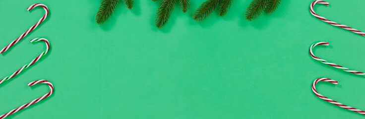 Bright green background with candy canes and fir branches for the Christmas season