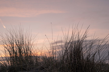 sunset in the dunes - Schillig