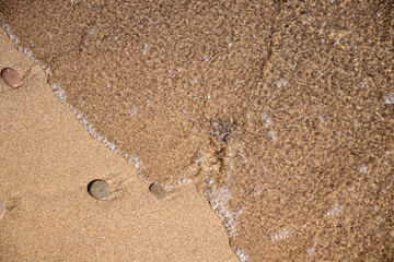 beach macro