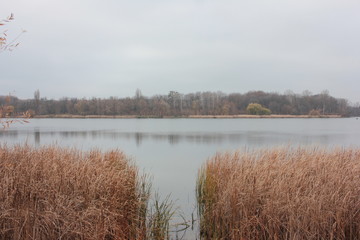 Beautiful autumn landscape with river and rush. soft colors