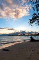 Tropical beach of Sainte Anne - Caribbean Sea - Guadeloupe tropical island.