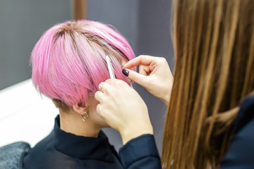 Fototapeta premium Female hairdresser is combing short pink hair of woman in beauty salon.