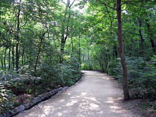 Fototapeta premium Path