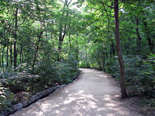 Fototapeta premium Path