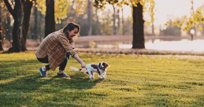 Woman Playing With Puppy In The Park. SLOW MOTION. Cavalier King Charles Spaniel baby dog enjoying sunny sunset outdoors, running and jumping with laughing girl. Pet and owner love. 