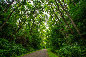 Cedar Valley Nature Trail