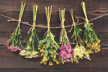 Bundles of medicinal herbs dried near a dark wooden wall, alternative medicine and herbal treatment...