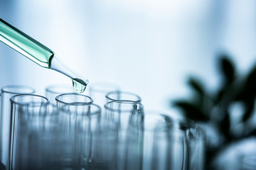 Dropper over test tube dropping sample chemical into sample herbal plaint , biotechnoloy research concept.Natural extracts