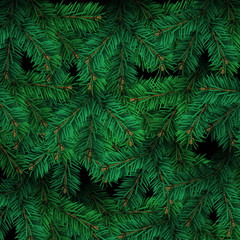 Detailed Christmas tree branches background.