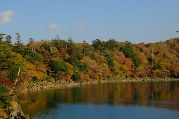 綺麗な曲線に生える紅葉の木々