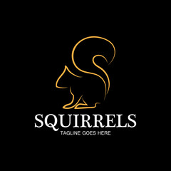 creative squirrel animal logo design icon symbol illustration-vector