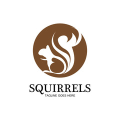 creative squirrel animal logo design icon symbol illustration-vector
