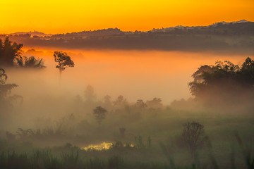 Natural blurred background of fog scattered among trees in the morning, with soft sunlight from the sun, seasonal beauty.