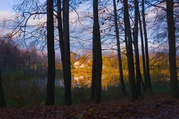 Colorful autumn landscape, reflection of yellow and red leaves of trees and white building in the lake, shore covered with reeds, view through branches