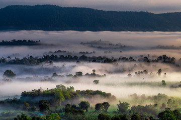 Natural blurred background of fog scattered among trees in the morning, with soft sunlight from the sun, seasonal beauty.