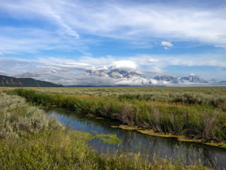 Fototapeta na wymiar Grand Teton Mountains With Clouds, Elk taking a rest