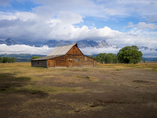 Grand Teton Mountains With Clouds, Elk taking a rest