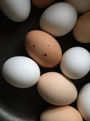 Eggs, chicken, farm, hen, chicken