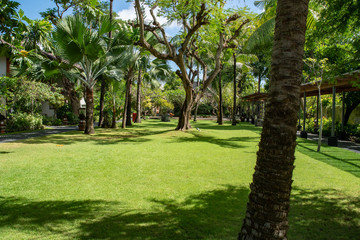 Landscaped manicured gardens full of tropical plants and palm trees