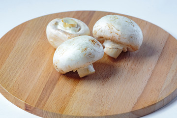  porcini mushrooms, champignons, on a white plate, on a wooden board, on a black plate