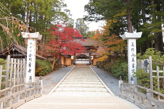 高野山 Images – Browse 4,857 Stock Photos, Vectors, and 高野山 Images – Browse 4,857 Stock Photos, Vectors, and