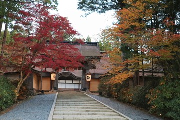高野山　紅葉