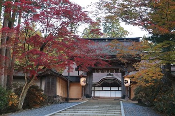 高野山　紅葉
