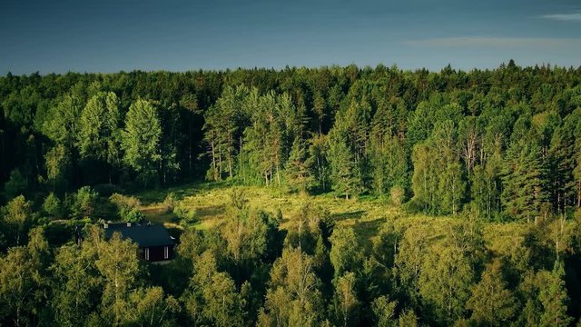 Afforestation forest isolated woods of Sweden with a residential house, aerial shot 