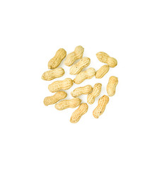Top view peanuts in shell isolated on white background.