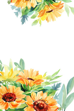 greeting card, invitation with place for text, summer flowers and herbs, eucalyptus and sunflowers on a white background, watercolor illustration, hand drawing